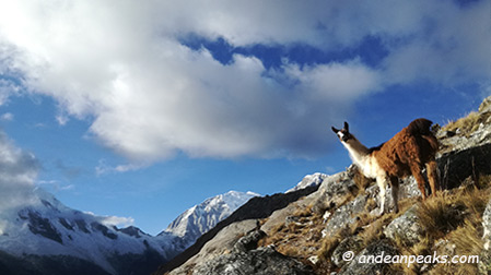 Andean Peaks