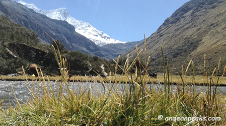 Andean Peaks