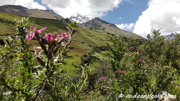 Laguna churup