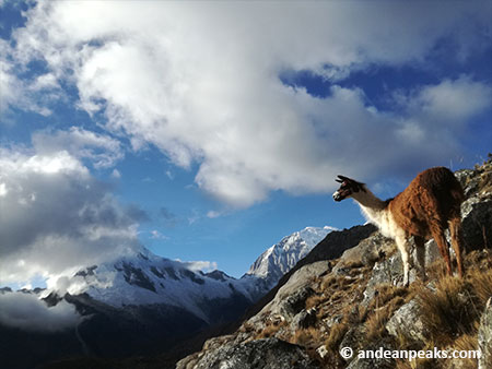 Andean Peaks